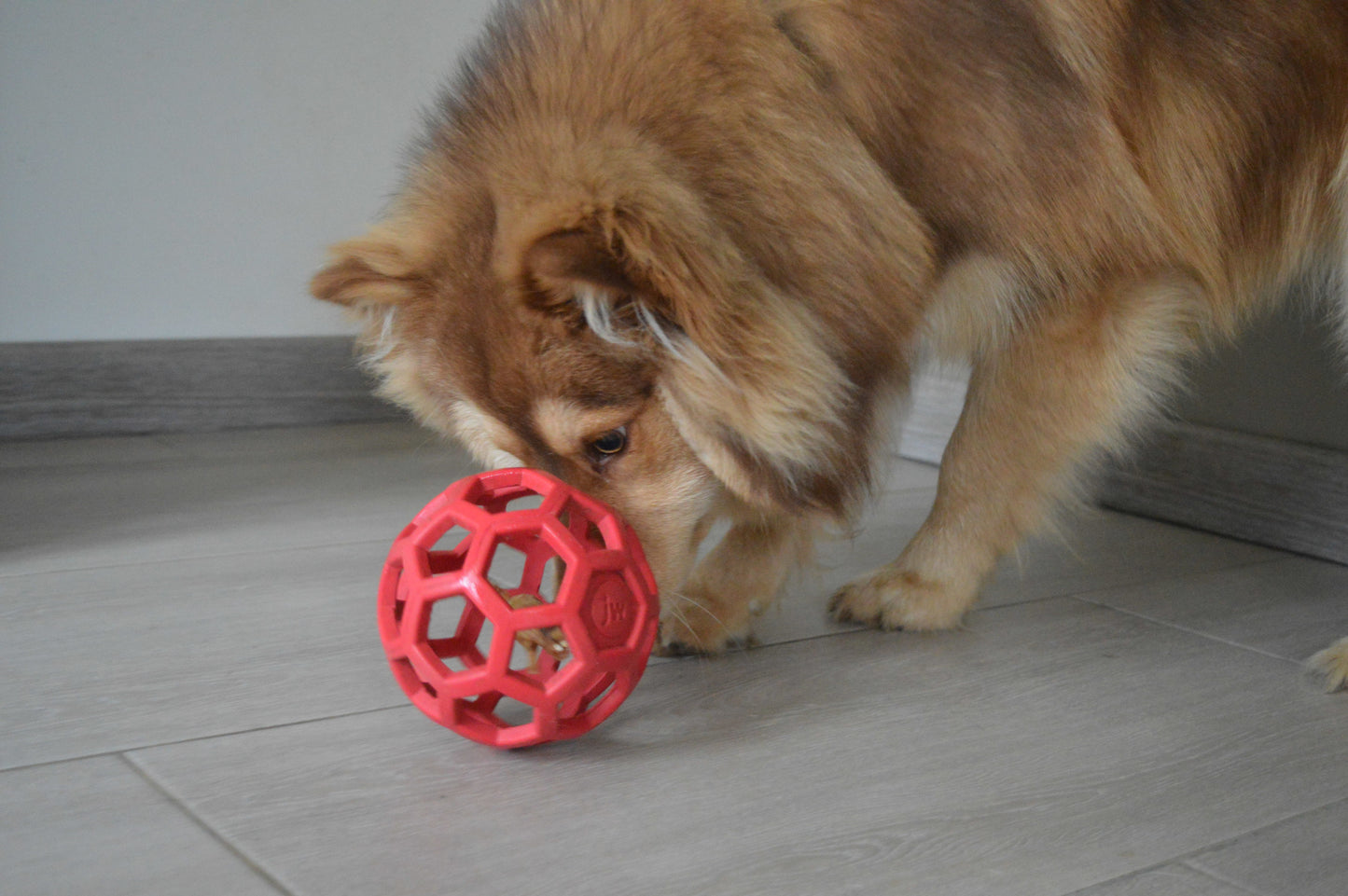 Balle Holl-ee Roller